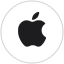 Apple icon
